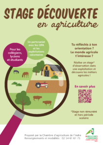 36_Stage-decouverte